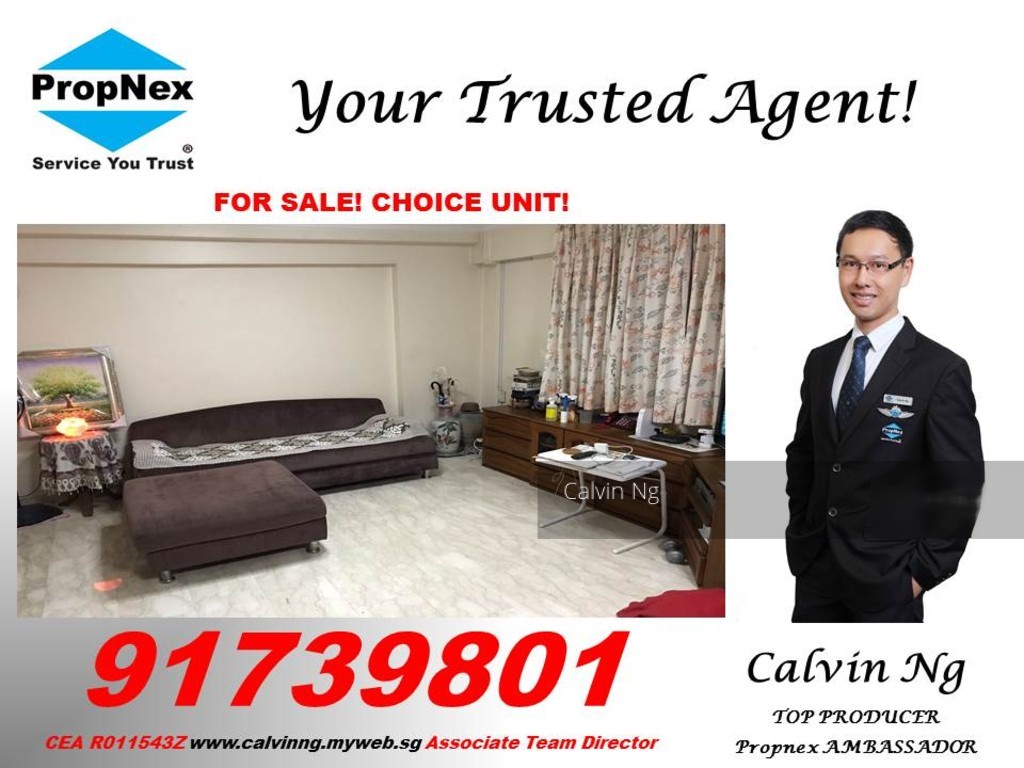 Bukit Batok Street 25 thumbnail photo